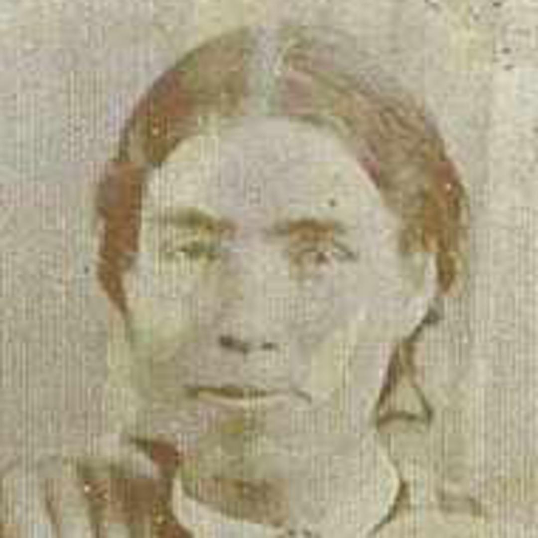 Louisa Stewart (1844 - 1891) Profile